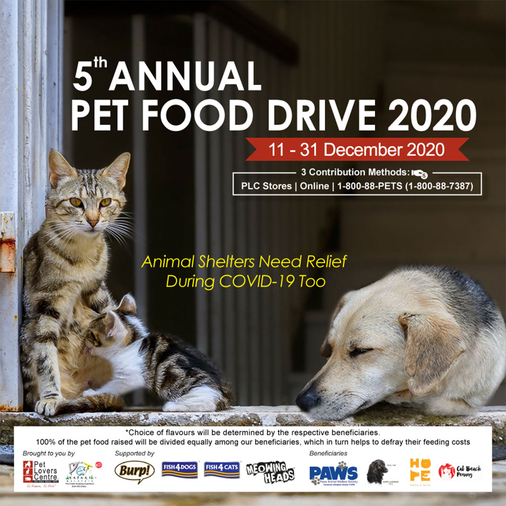 Pet lover centre best sale paradigm